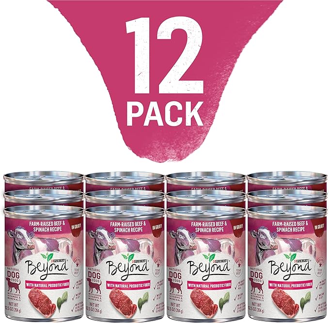Purina Beyond Grain Free, Natural Gravy Wet Dog Food, Grain Free Beef & Spinach Recipe - (12) 12.5 oz. Cans - PAWPICO
