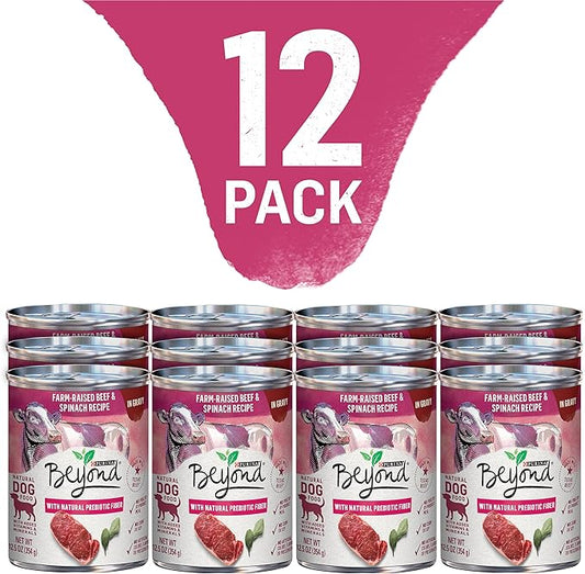 Purina Beyond Grain Free, Natural Gravy Wet Dog Food, Grain Free Beef & Spinach Recipe - (12) 12.5 oz. Cans - PAWPICO