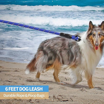 BAAPET 2/4/5/6 FT Dog Leash with Comfortable Padded Handle and Highly Reflective Threads for Small Medium and Large Dogs (6FT-1/2'', Navy Blue) BAAPET