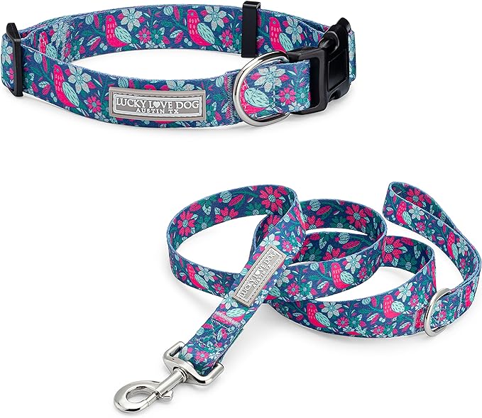 Lucky Love Dog Collar and Leash Combo, Vivid Floral Matching Girl Dog Leash and Collar Set for X-Small Dogs - (CarrieBelle Combo, XS) LuckyLoveDog