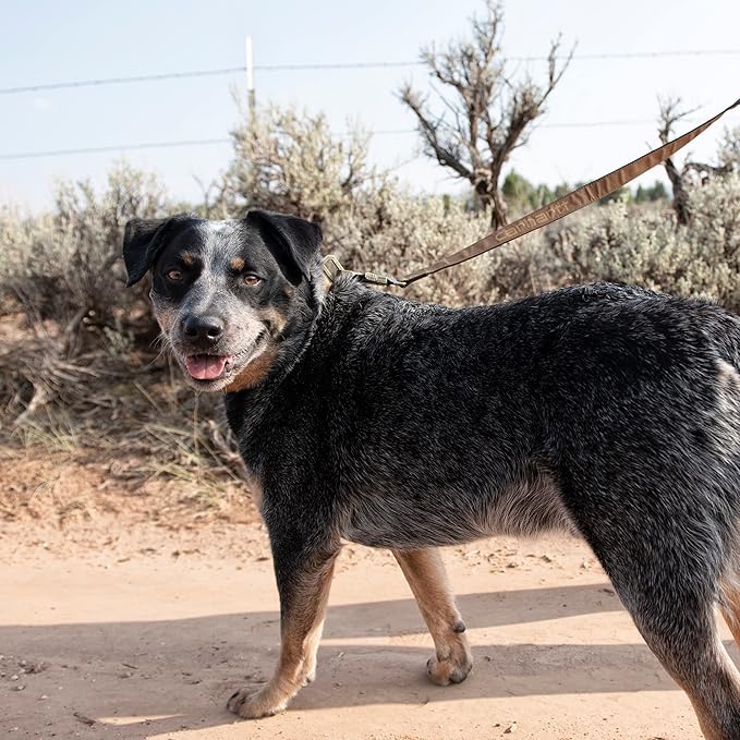 Carhartt Pet Durable Nylon Webbing Leashes for Dogs, Reflective Stitching for Visibility, Duck Camo Tarmac, Small Carhartt