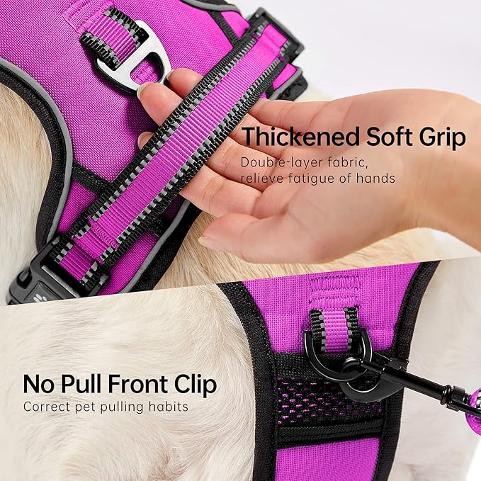 NESTROAD No Pull Dog Harness,Adjustable Oxford Dog Vest Harness with Leash,Reflective No-Choke Pet Harness with Easy Control Soft Handle for Large Dogs(Large,Fuchsia Pink) NESTROAD