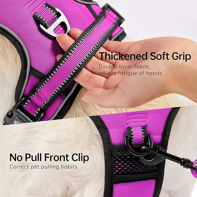 NESTROAD No Pull Dog Harness,Adjustable Oxford Dog Vest Harness with Leash,Reflective No-Choke Pet Harness with Easy Control Soft Handle for Small Dogs(Small,Fuchsia Pink) NESTROAD