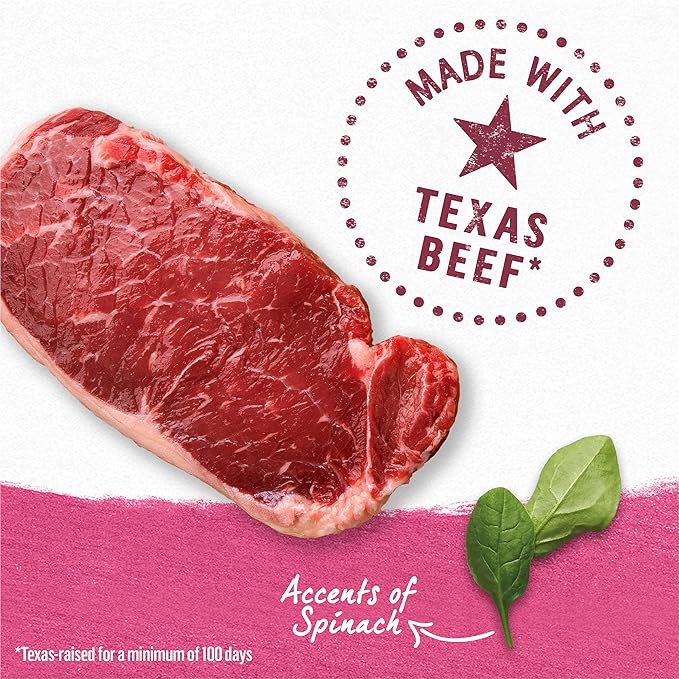 Purina Beyond Grain Free, Natural Gravy Wet Dog Food, Grain Free Beef & Spinach Recipe - (12) 12.5 oz. Cans - PAWPICO