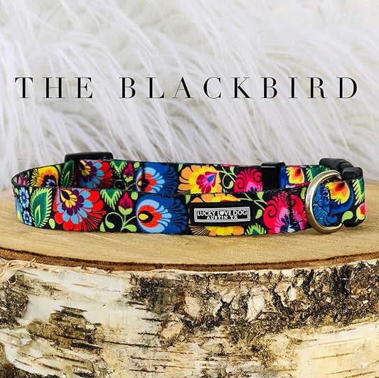 Lucky Love Dog - Easy Click Buckle Dog Collar with Leash Set Combo, Durable & Comfortable Collar for Male & Female Dogs, Pet Collar for Small to Large Dogs, Secure Fit - Blackbird Combo, Large LuckyLoveDog