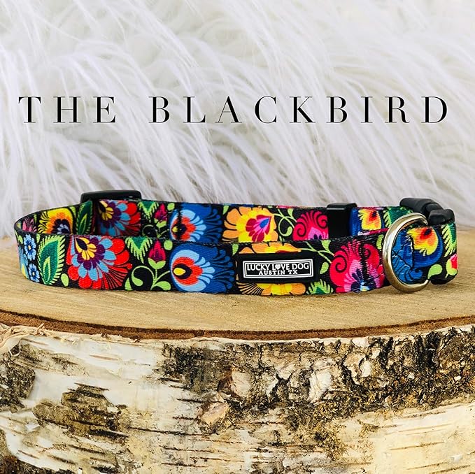 Lucky Love Dog Collars, Vivid Floral Dog Collar, Cute Dog Collar for X-Large Female Dogs, Spring & Summer Themed Flower Print, Blackbird, Extra Large LuckyLoveDog