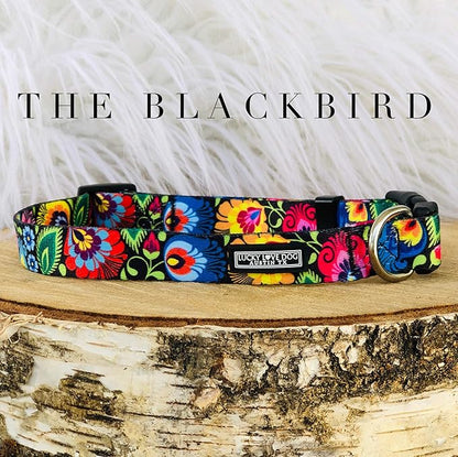 Lucky Love Dog Collars, Vivid Floral Dog Collar, Cute Dog Collar for X-Large Female Dogs, Spring & Summer Themed Flower Print, Blackbird, Extra Large LuckyLoveDog