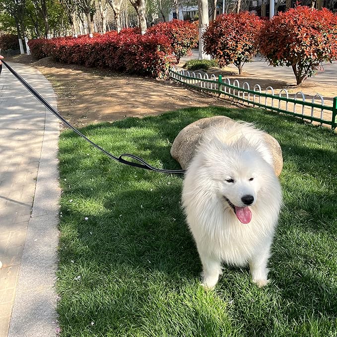 Joytale Dog Leash Heavy Duty for Large Dogs That Pull, Double Handle for Traffic Control, Double-Sided Reflective Leashes for Large Medium Dogs Night Safety, 5FT, Black Joytale