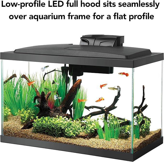 Aqueon Aquarium Fish Tank Starter Kit with LED Lighting 10 Gallon Fish Tank Aqueon