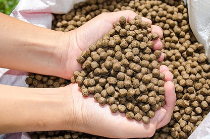 | Premium Floating Fish Food | Pond and Lake | Pellets | 2 Pounds FAMILY+FARM+AND+FEED