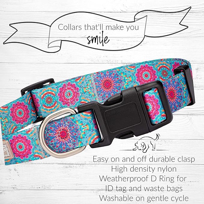 Lucky Love Dog, Boho Chic Dog Collar for Girl Boy Dogs, Vivid Pink and Turquoise Collar for Dogs, Comfortable, Soft, Cute Collars - (Small, Clara Collar) LuckyLoveDog