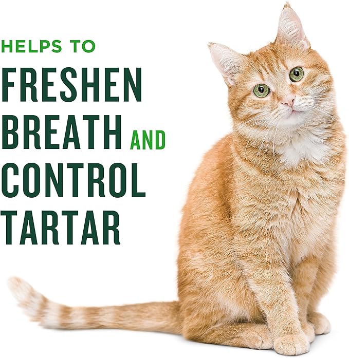 Minties Dental Treats for Cats, Salmon Flavored Treats for Cats, Freshens Breath and Controls Tartar, 2.5oz Minties