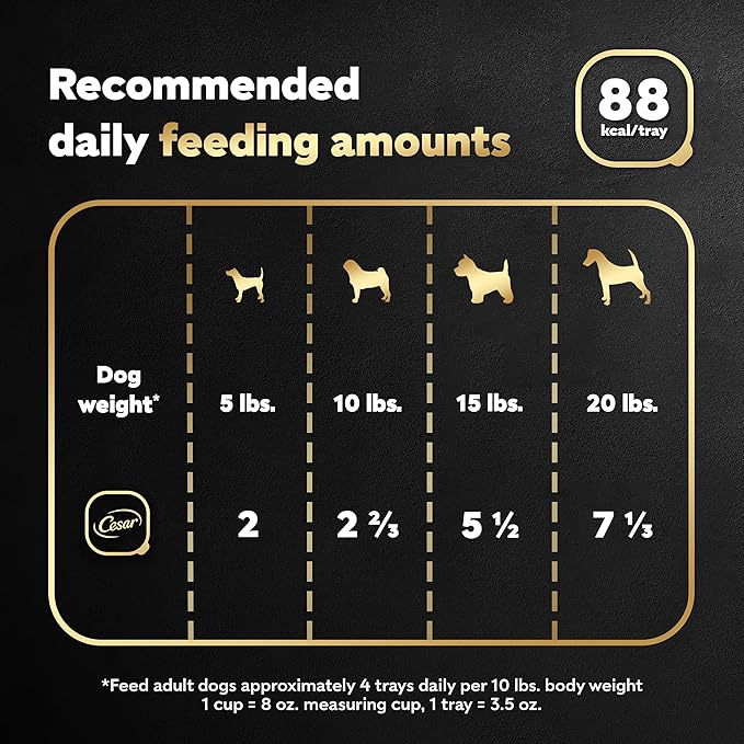 CESAR Soft Wet Dog Food Filets in Gravy Turkey Recipe, (24) 3.5 oz. Easy Peel Trays - PAWPICO