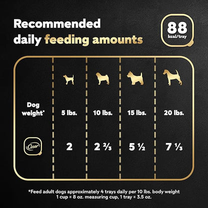 CESAR Soft Wet Dog Food Filets in Gravy Turkey Recipe, (24) 3.5 oz. Easy Peel Trays - PAWPICO