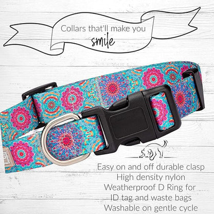 Lucky Love Dog, Boho Chic Dog Collar for Girl Boy Dogs, Vivid Pink and Turquoise Collar for Dogs, Comfortable, Soft, Cute Collars - (Mediuml, Clara Collar) LuckyLoveDog