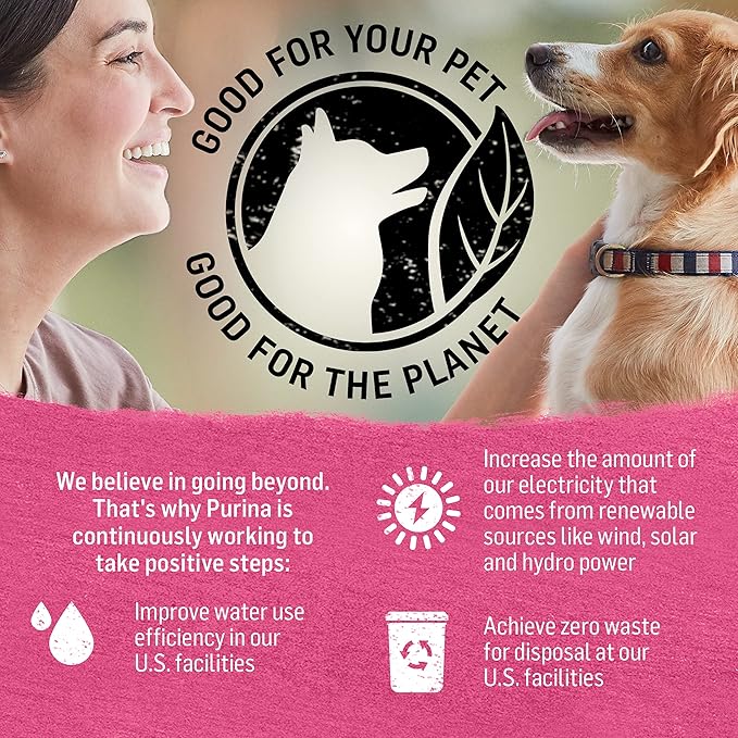 Purina Beyond Grain Free, Natural Gravy Wet Dog Food, Grain Free Beef & Spinach Recipe - (12) 12.5 oz. Cans - PAWPICO