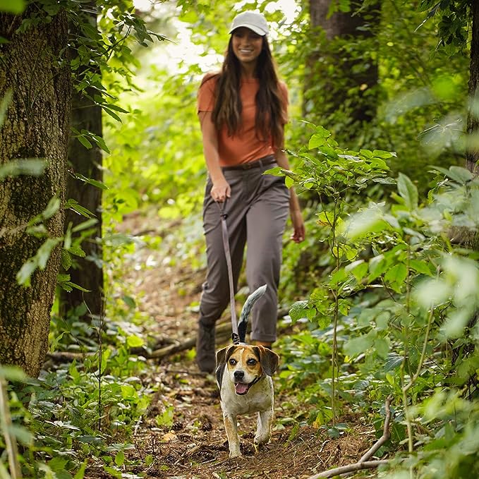 Nature′s Recipe Grain Free Small Breed Chicken, Sweet Potato & Pumpkin Recipe Dry Dog Food, 4 lb. Bag (Pack of 2) - PAWPICO