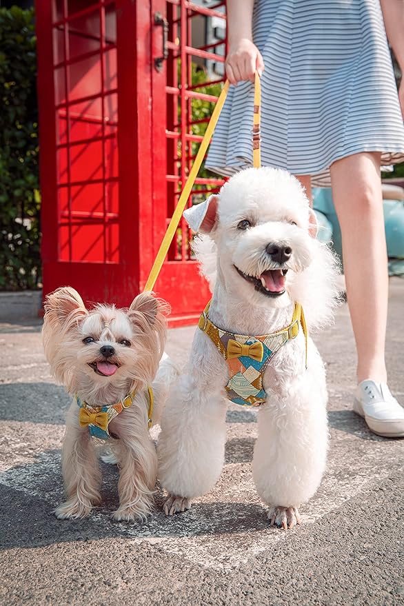 Puppytie No Pull Dog Harness with Multifunction Dog Leash,Soft Adjustable No Choke Escape Proof Pet Harness Vest for Medium Dogs,Suede Bow Yellow,M Puppytie