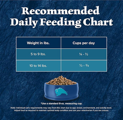 Blue Buffalo Wilderness Natural High Protein Grain Free Salmon Dry Food for Adult Cats 11 lbs. - PAWPICO