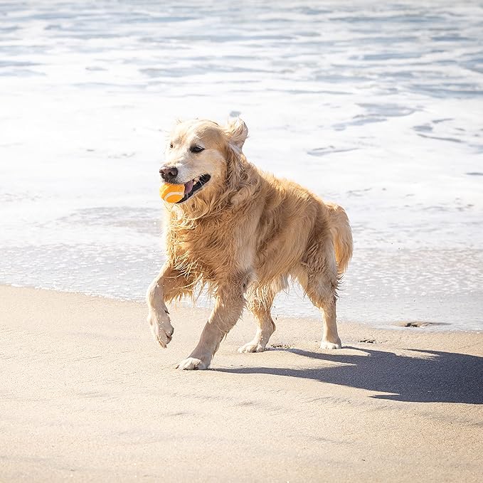 Hyper Pet Tennis Balls for Dogs (Pet Safe Ball for Exercise and Training) Interactive Dog Toys work with Hyper Pet K9 Kannon K2 Dog Ball Launcher - 4 Pack 2.5" Orange - PAWPICO
