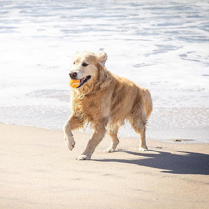 Hyper Pet MINI Tennis Balls for Dogs (Pet Safe Dog Toys & Dog Tennis Balls for Exercise, Training, Hyper Pet K9 Kannon Dog Ball Launcher) Bright Colored Interactive Dog Toy Dog Balls-Orange Pack of 4 - PAWPICO