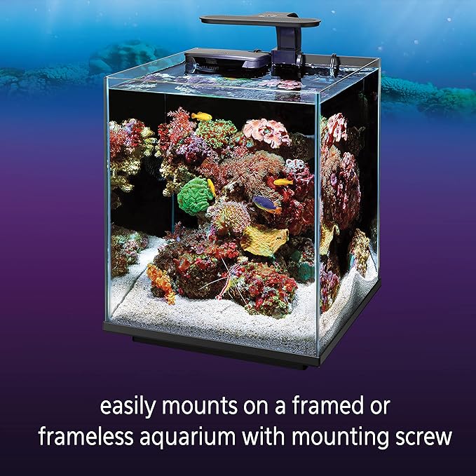 Coralife Aquarium Fish Tank Marine Salt Water Clip-On LED Light Coralife