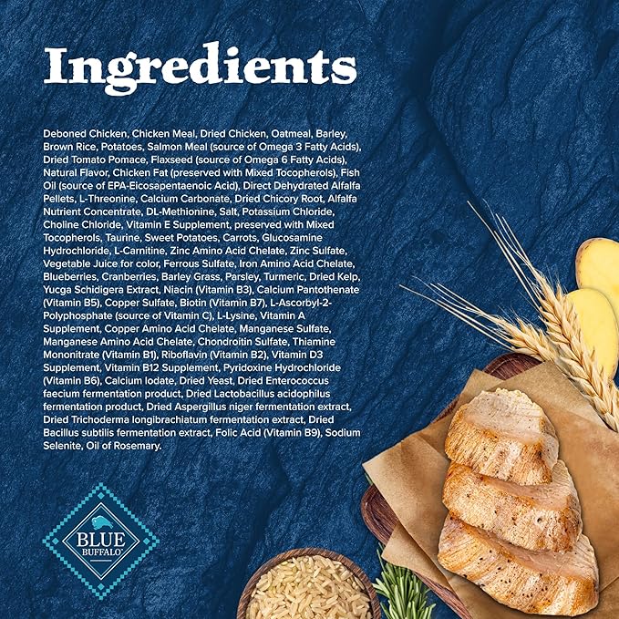 Blue Buffalo Wilderness Large Breed Adult Dry Dog Food Wholesome Grains Natural Ingredients Chicken - PAWPICO