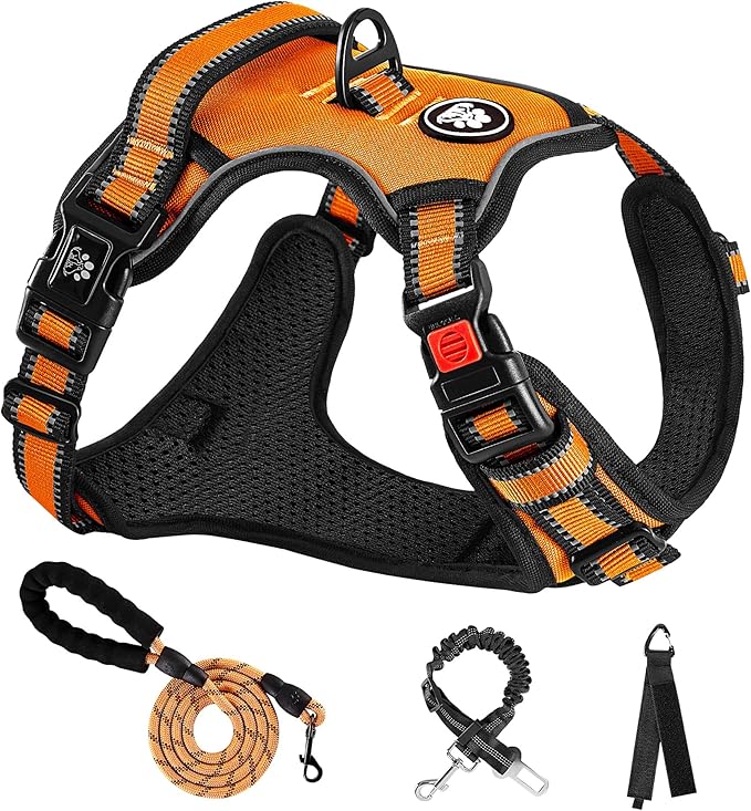 NESTROAD No Pull Dog Harness,Adjustable Oxford Dog Vest Harness with Leash,Reflective No-Choke Pet Harness with Easy Control Soft Handle for Small Medium Dogs(Medium,Orange) NESTROAD