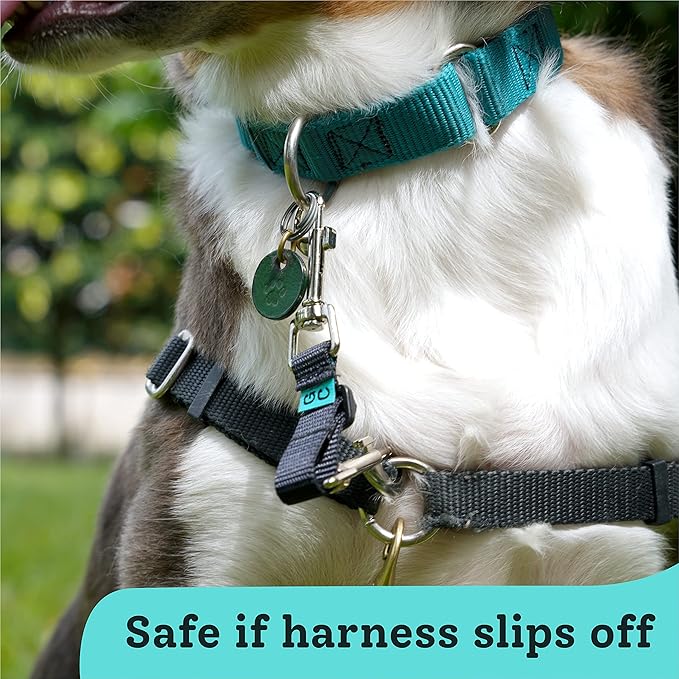 Gentle Creatures Collar Companion - Adjustable Collar Backup Clip for Dog Harness, Prong, Pinch Collar, Gentle Lead - Double Ended Clasp - Safety Clip GentleCreatures