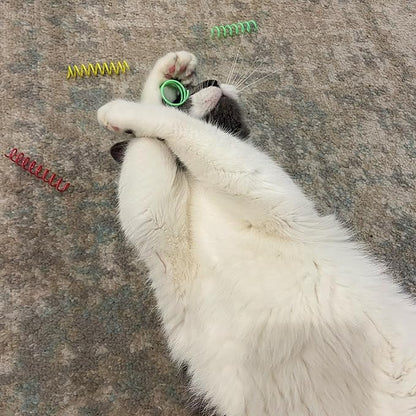 SPOT Thin Colorful Springs Cat Toy - Bouncy Toys for Medium Indoor Cat Breeds to Bite, Swat, Chase - Keeps Cats & Kittens Entertained for Hours - Includes Ten 3” Wide Spiral Springs, Assorted Colors - PAWPICO