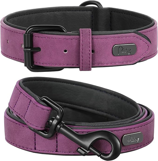 Didog Soft Padded Leather Dog Collar and Leash Set, Heavy Duty Dog Leash and Collar Set with Metal Buckle, Breathable Dog Collars with 4FT Leather Dog Leash for Small Medium Large Dogs, Purple, S Didog