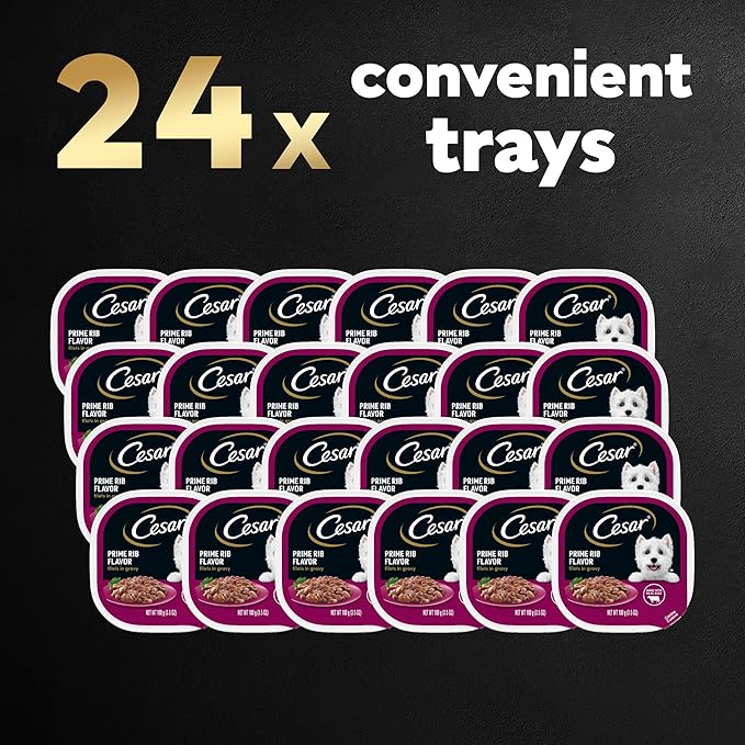 CESAR Adult Wet Dog Food Filets in Gravy Prime Rib Flavor, 3.5 oz. Easy Peel Trays, Pack of 24 - PAWPICO