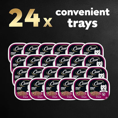 CESAR Adult Wet Dog Food Filets in Gravy Prime Rib Flavor, 3.5 oz. Easy Peel Trays, Pack of 24 - PAWPICO