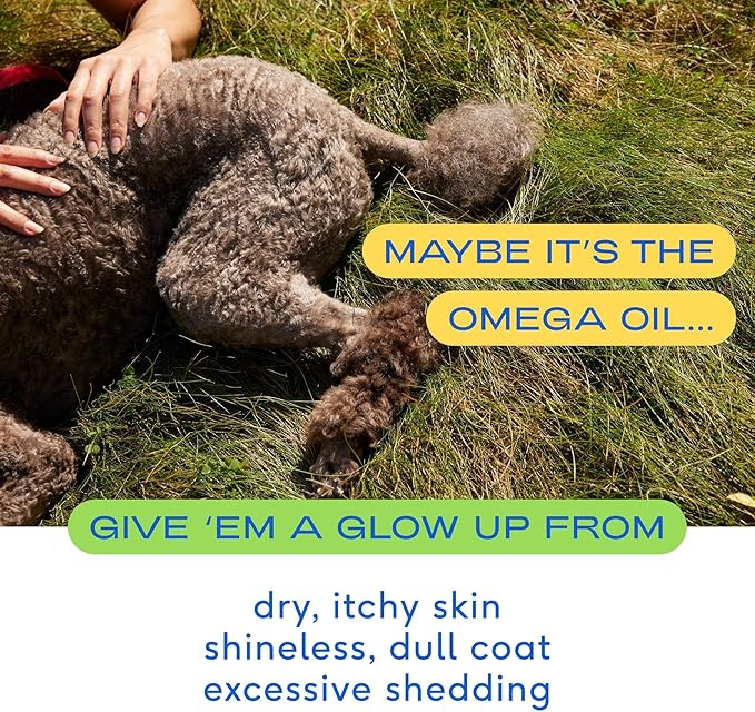 Native Pet Omega 3 Fish Oil for Dogs 8 oz - Made with Wild Alaskan Salmon Oil for Dogs - EPA DHA - Supports Itchy Skin, Mobility - Liquid Pump is Easy to Serve - Omega 3 Oil for Dogs NativePet