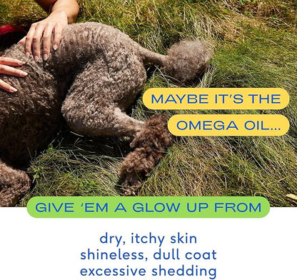Native Pet Omega 3 Fish Oil for Dogs 8 oz - Made with Wild Alaskan Salmon Oil for Dogs - EPA DHA - Supports Itchy Skin, Mobility - Liquid Pump is Easy to Serve - Omega 3 Oil for Dogs NativePet
