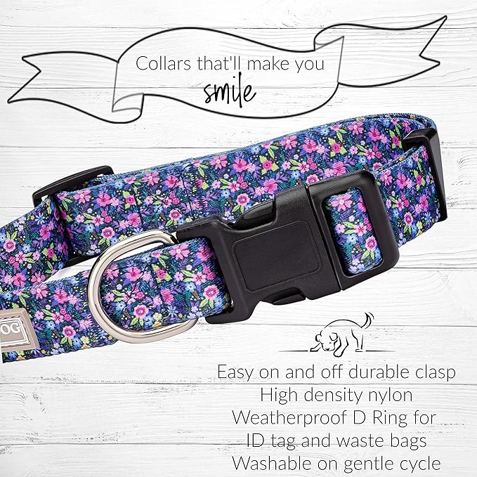 Lucky Love Dog, Comfortable, Soft, Cute Female Dog Collar for Small Dogs, Black & Purple Floral Print, Adjustable Nylon Collar, Primrose, Small LuckyLoveDog