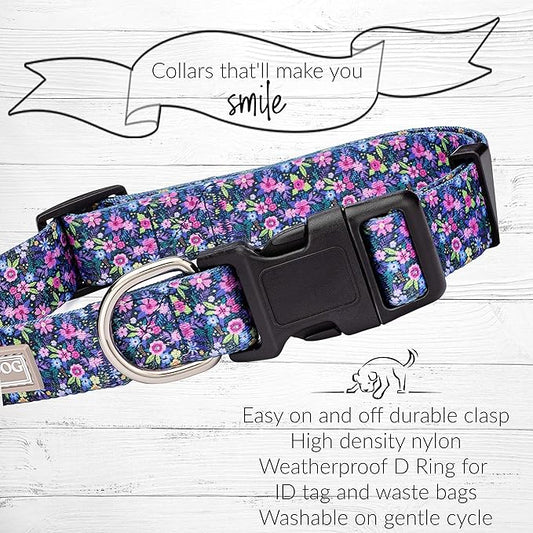 Lucky Love Dog, Comfortable, Soft, Cute Female Dog Collar for Small Dogs, Black & Purple Floral Print, Adjustable Nylon Collar, Primrose, Small LuckyLoveDog