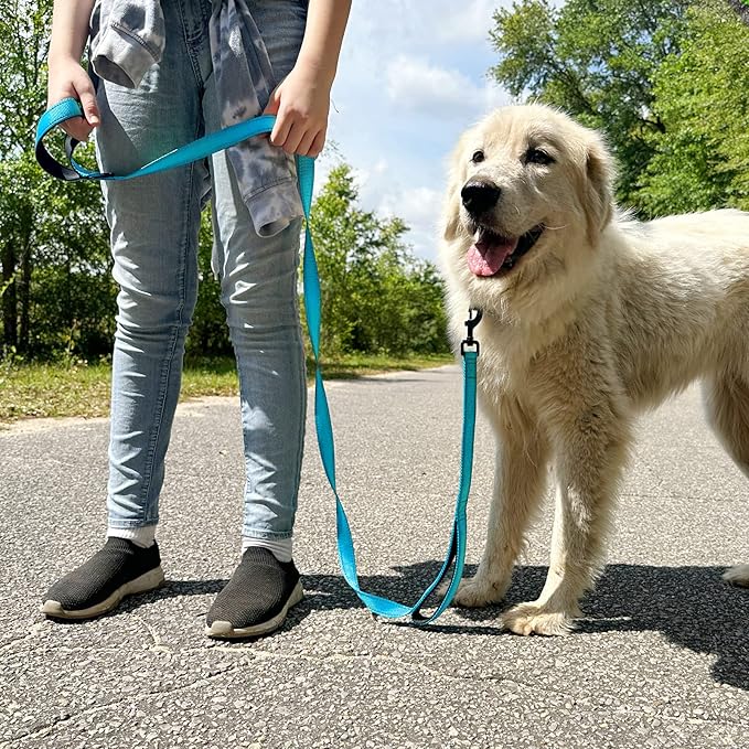 Joytale Dog Leash Heavy Duty for Large Dogs That Pull, Double Handle for Traffic Control, Double-Sided Reflective Leashes for Large Medium Dogs Night Safety, 4FT, Aqua Blue Joytale