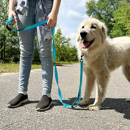 Joytale Dog Leash Heavy Duty for Large Dogs That Pull, Double Handle for Traffic Control, Double-Sided Reflective Leashes for Large Medium Dogs Night Safety, 4FT, Aqua Blue Joytale
