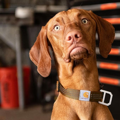 Carhartt Fully Adjustable Nylon Webbing Collars for Dogs, Reflective Stitching for Visibility, Black (Nylon Webbing), Large Carhartt