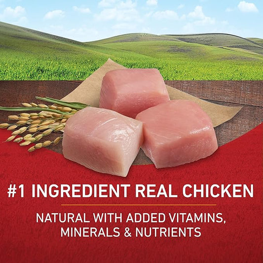 Purina ONE Chicken and Rice Formula Dry Dog Food - 8 lb. Bag - PAWPICO