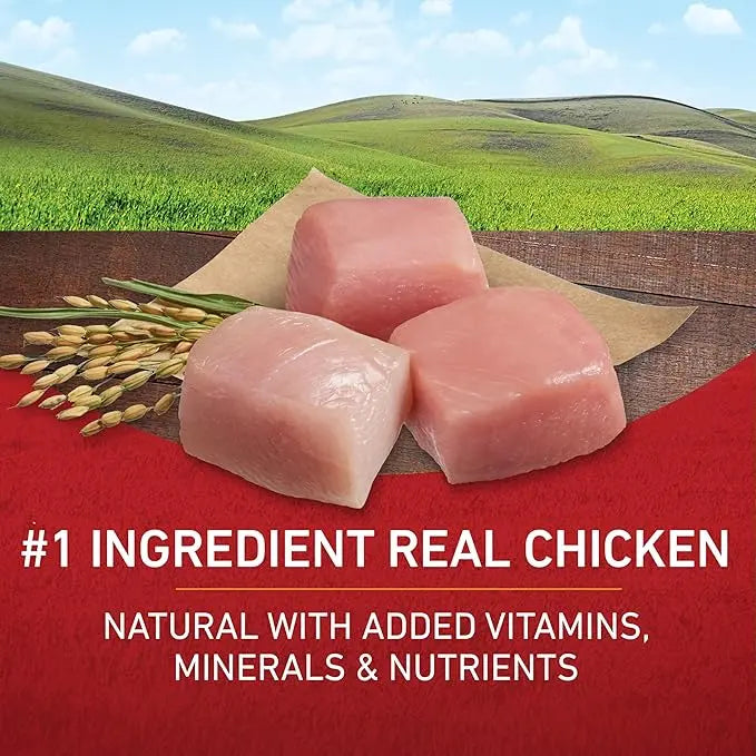 Purina ONE Chicken and Rice Formula Dry Dog Food - 16.5 lb. Bag - PAWPICO