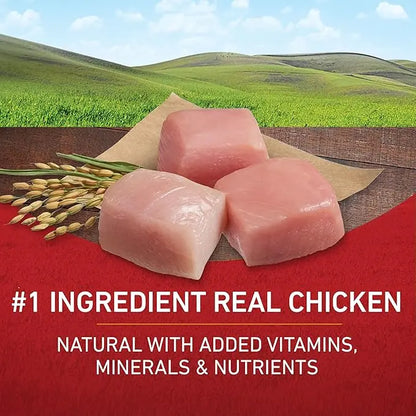 Purina ONE Chicken and Rice Formula Dry Dog Food - 16.5 lb. Bag - PAWPICO