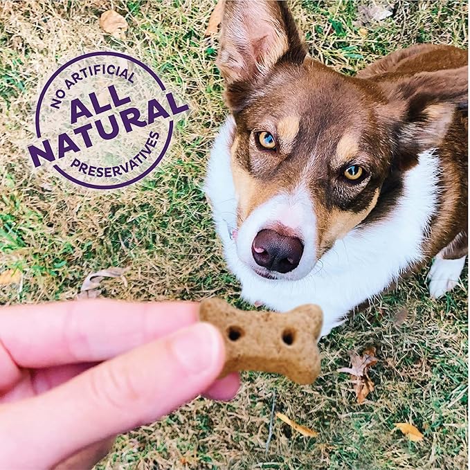 Old Mother Hubbard by Wellness Classic P-Nuttier 'N Nanners Grain Free Natural Dog Treats, Crunchy Oven-Baked Biscuits, Ideal for Training, Mini-Size, 16 ounce bag - PAWPICO