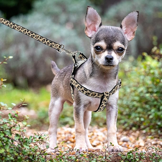 Mile High Life Leopard Dog Harness Collar Leash Set | Adjustable No Pull Dog Halter Harness for Small Breed Dogs | Easy Control for Training Walking | Black, Small MileHighLife
