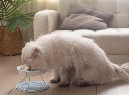 Ceramic Fish-Bone Slow Food Bowl for Cats and Dogs, Dishwasher Safe, Non-Toxic, Engaging Design, Prevents Obesity - PAWPICO