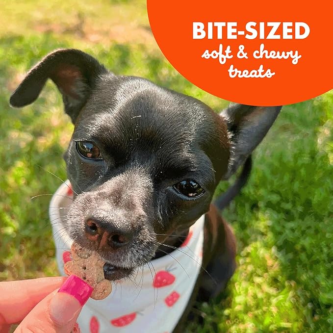 Buddy Biscuit Softies 5 oz Pouch, Grain-Free Soft & Chewy, Natural Peanut Butter Flavor Dog Treats, Oven Baked in the USA - PAWPICO