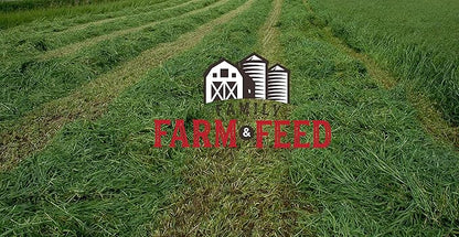 | Timothy Grass Food | Small Pet | Young and Adult | Cubes | 3 Pounds FAMILY+FARM+AND+FEED