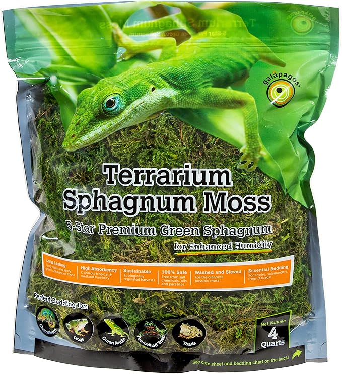 Galápagos (05213) Terrarium Green Sphagnum Moss, Natural, 4 Quart Galapagos