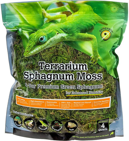 Galápagos (05213) Terrarium Green Sphagnum Moss, Natural, 4 Quart Galapagos